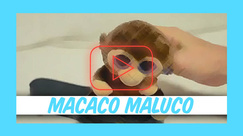 macaco-maluco.jpg